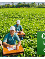 Oportunidade para quem quiser ter uma formação técnica em Agronegócio