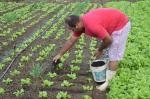 Ceasa Pernambuco tem programa de distribuição de adubo sustentável para produtores rurais