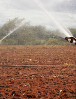 Um alívio para os produtores com dívidas de uso de água de perímetros irrigados
