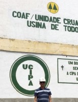 Início da moagem da cana em Pernambuco abre vagas para trabalhadores rurais