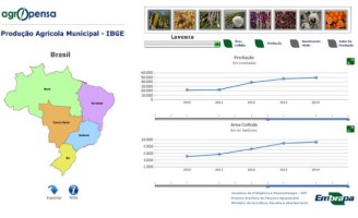 Tudo sobre a agropecuária nacional através de uma base de dados