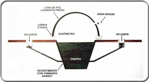 biodigestor 3