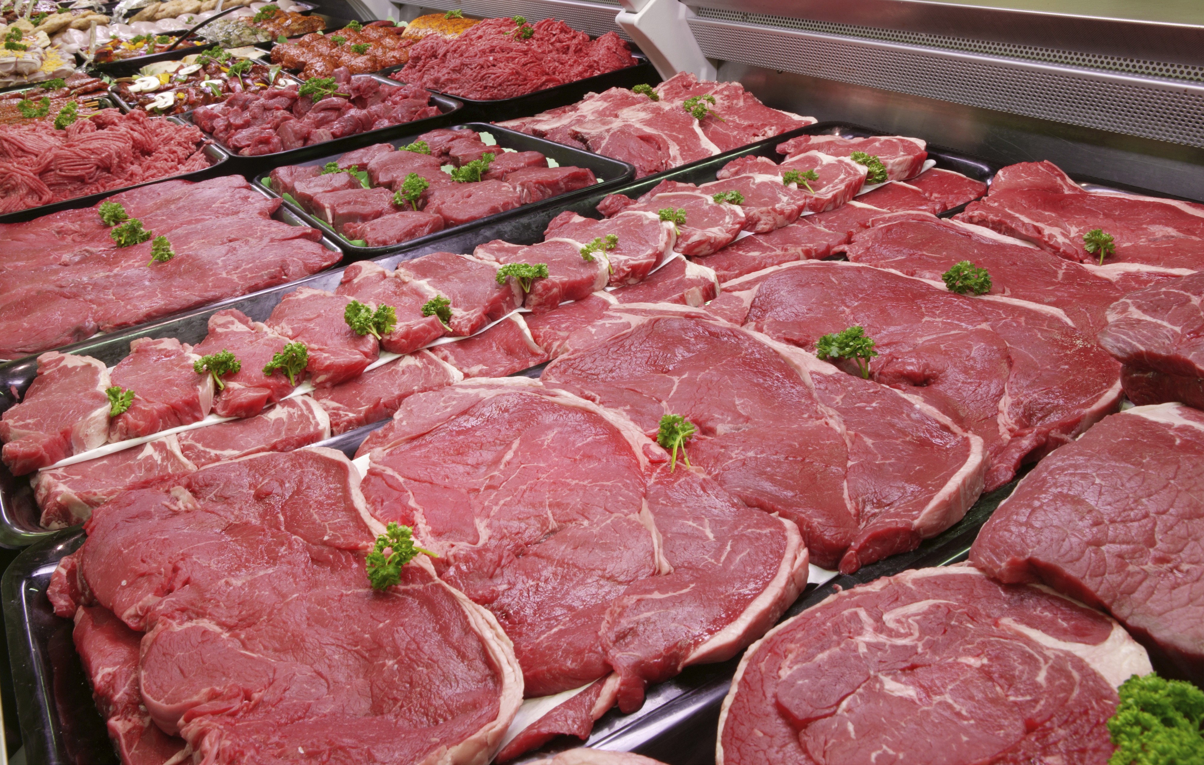 Estados Unidos vão comprar carne brasileira