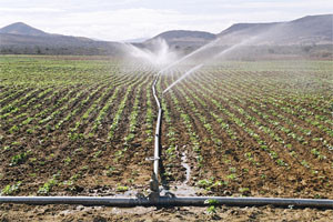 irrigação canos