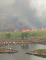 Incêndios nas áreas rurais crescem 57% em relação ao ano passado