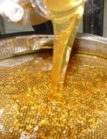 Comunidades rurais de sete estados garantem rende produzindo mel