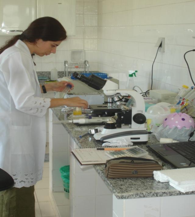 Encontro sobre reproduçãode bovinos vai discutir o uso de sêmen refrigerado