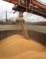 Os produtores brasileiros ganham mais com um aumento das exportações agropecuárias