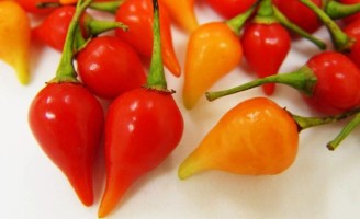 As características da pimenta brasileira e o desempenho no mercado consumidor