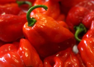 pimenta-vermelha