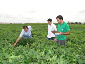 agronomo-no-campo