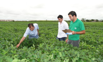 Hoje se comemora o dia do engenheiro agrônomo, a mola mestra do agronegócio