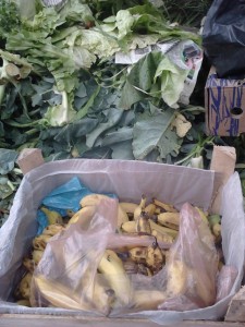 alimentos-desperdicio