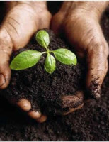 A importância da análise de solos na agricultura brasileira