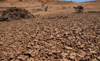 Agrava-se a seca em todas as regiões de Pernambuco