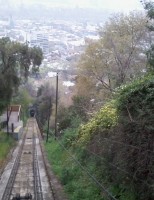 O trem avança na mata
