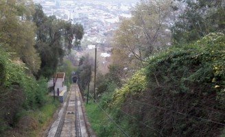 O trem avança na mata