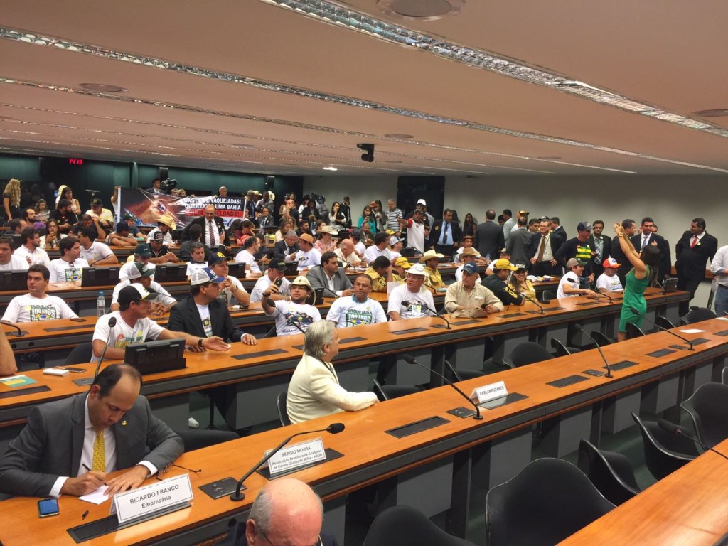 Acontece agora audiência pública sobre a vaquejada no Congresso e deputados recebem as regras de proteção dos animais