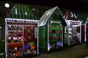 natal-luz-em-garanhuns-casinhas