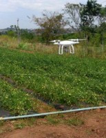 Pesquisa diz que a IA pode gerar R$ 48,2 bilhões para o agro brasileiro até 2030,