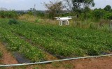 Pesquisa diz que a IA pode gerar R$ 48,2 bilhões para o agro brasileiro até 2030,