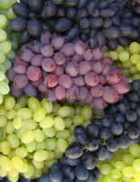 Viticultores do Vale do São Francisco investem na produção de uva de mesa