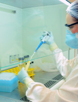 Pesquisa busca alternativas para reduzir uso de drogas veterinárias
