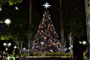 natal-luz-garanhuns-2