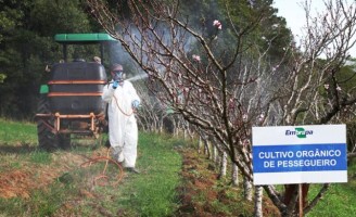 Aplicação de filme pulverizado para proteger o pomar de ataques de pragas e doenças