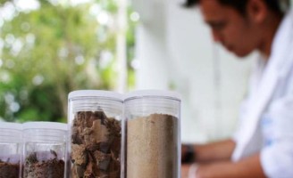 Tecnologias usadas em solos arenosos promovem aumento de produtividade