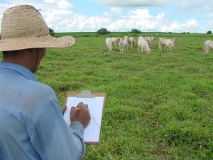 sustentabilidade-rural