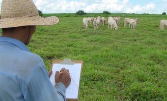 Propriedades rurais são mais rentáveis com sustentabilidade na agropecuária