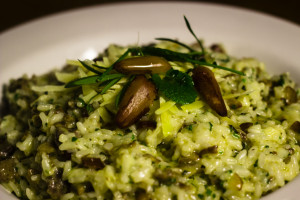 risoto-de-cordeiro-e-pinhao01