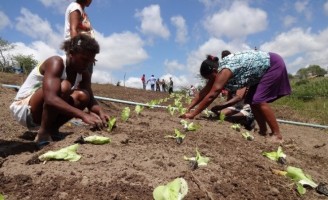 Alagoas será exemplo para inclusão produtiva na área rural e programas sociais