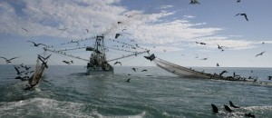 barco-pesqueiro
