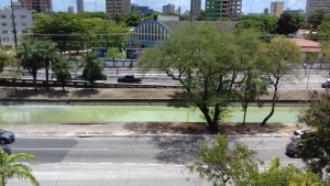 canal-verde-1