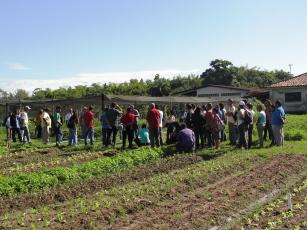 Mais de cinco mil famílias de agricultores serão atendidas pela Embrapa