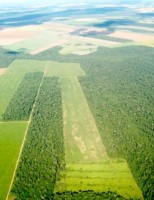 Governo anuncia 2,7 bilhões para uso na Regorma Agrária