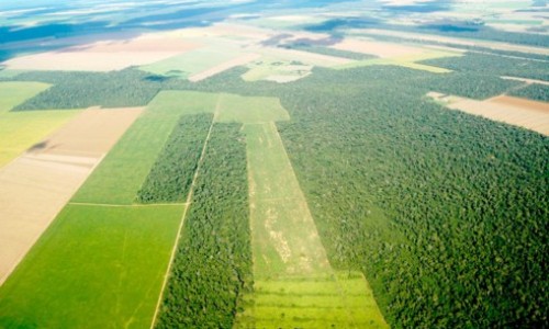 <h2><a href="https://nordesterural.com.br/medida-provisoria-facilita-a-regularizacao-de-terras-no-brasil/">Medida Provis&oacute;ria facilita a regulariza&ccedil;&atilde;o de terras no Brasil</a></h2>Al&eacute;m de ampliar a transpar&ecirc;ncia, a Medida Provis&oacute;ria 759/2016, simplifica e agiliza o processo, aumenta a seguran&ccedil;a jur&iacute;dica e combate as irregularidades. A partir de agora, o Governo Federal, por