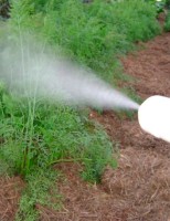 Brasil consegue reduzir contaminação de vegetais por resíduos de agrotóxicos