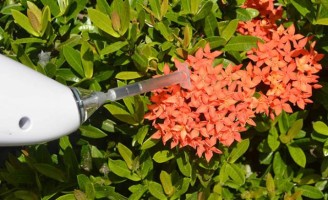 Parecia impossível mas os cientistas estão conseguindo armazenar o aroma das flores