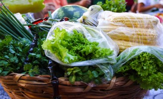 Agricultura orgânica fecha balanço de negócios do ano passado