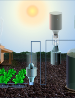 Energia solar é usada para irrigação por gotejamento