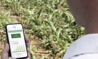 Um aplicativo no celular vai ajudar a controlar tudo sobre a plantação de milho