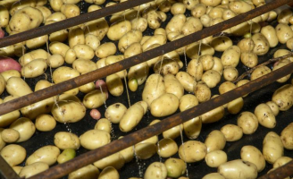 Sai a nova lista de produtos do garantia de preços para a agricultura familiar