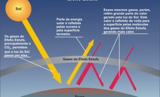 A emissão de Gases do Efeito Estuda na pecuária brasileira