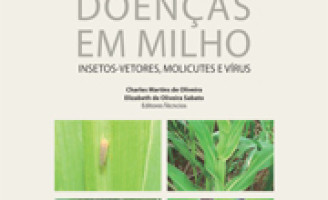 Aprendendo a combater doenças e viroses do milho