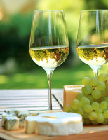 O vinho ideal para o calor do carnaval