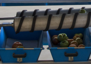 Tomate - máquina que limpa