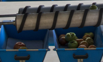 Uma máquina compacta que não usa água pode limpar o tomate ainda no campo
